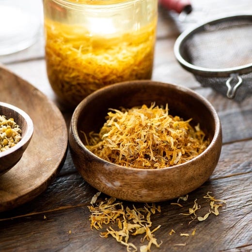 Calendula Salve Calendula Salve