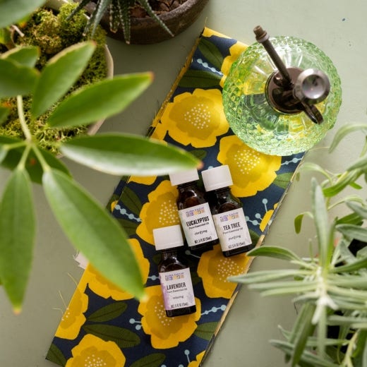 House Plant Mist House Plant Mist