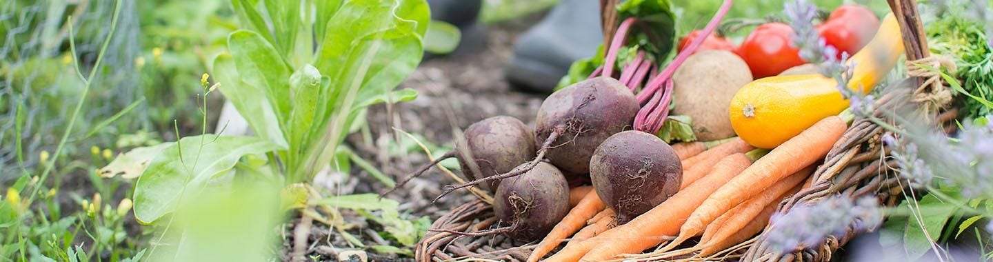 Vegetables