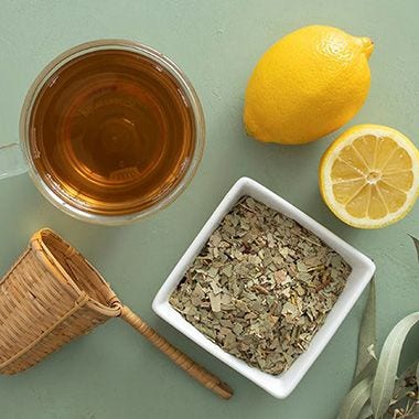 Eucalyptus Tea