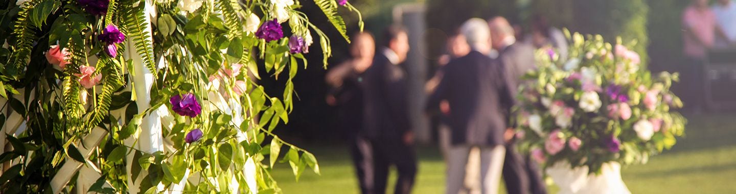 wedding guest
