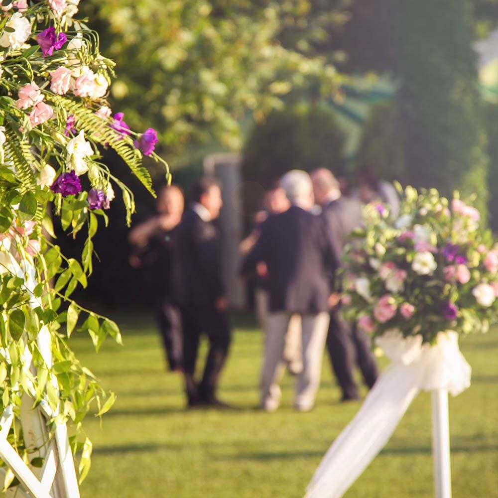 wedding guest