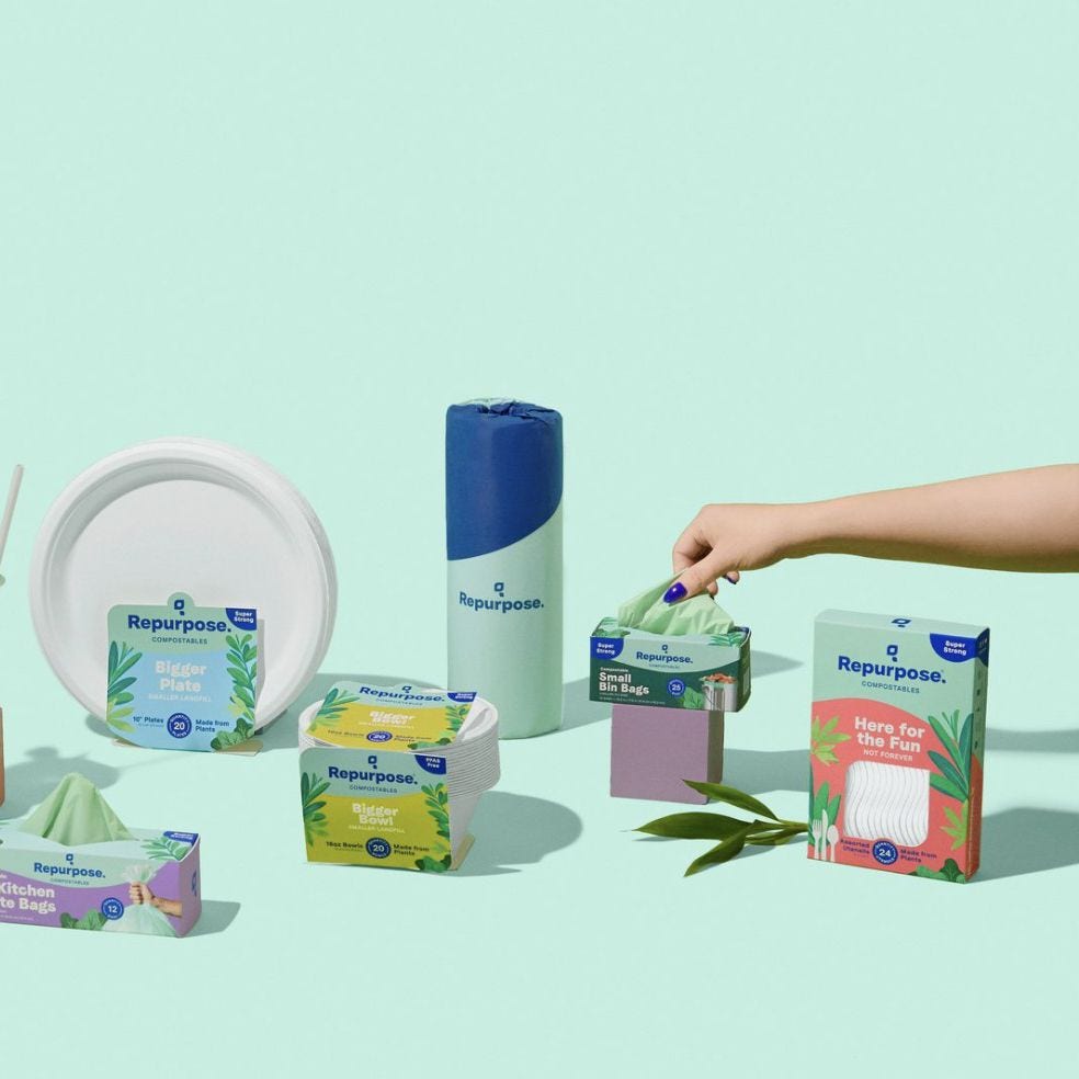 How to Green-Up Every Room in Your Home