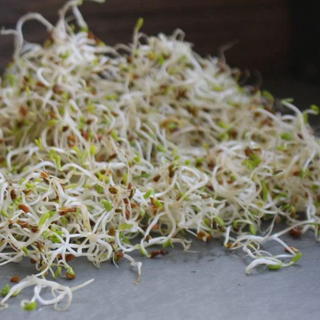 Sprouts